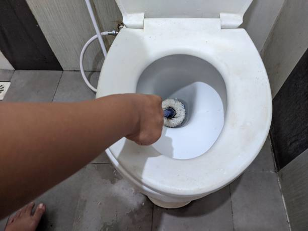 Brush reaching under toilet rim using top-rated cleaning product for hygiene